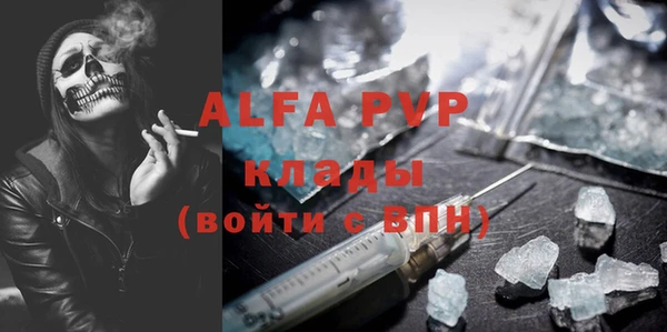 ешки Белокуриха