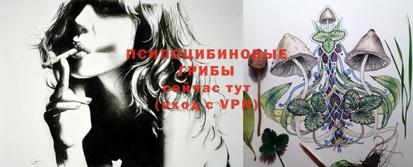 ешки Белокуриха