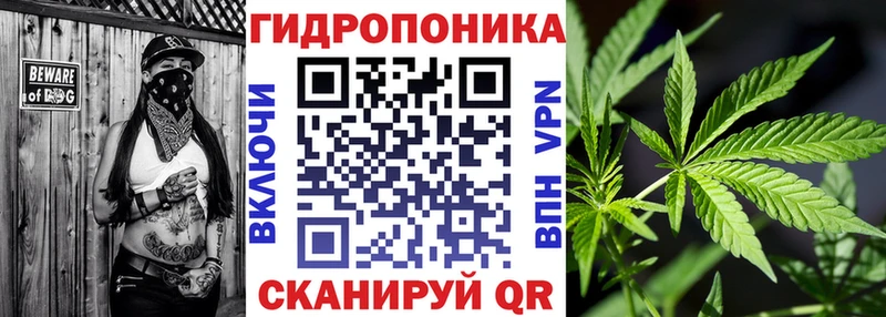 OMG как зайти  Курчалой  Шишки марихуана марихуана 